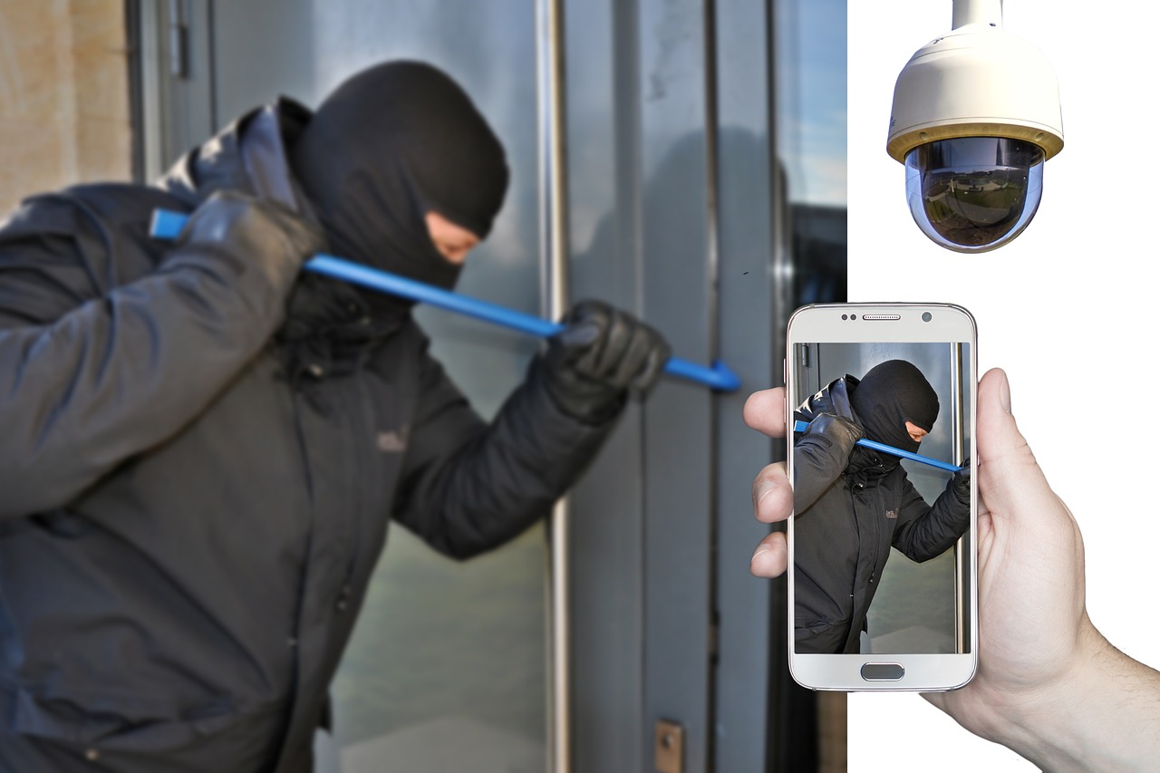 Burglar, Burglary, Surveillance camera image