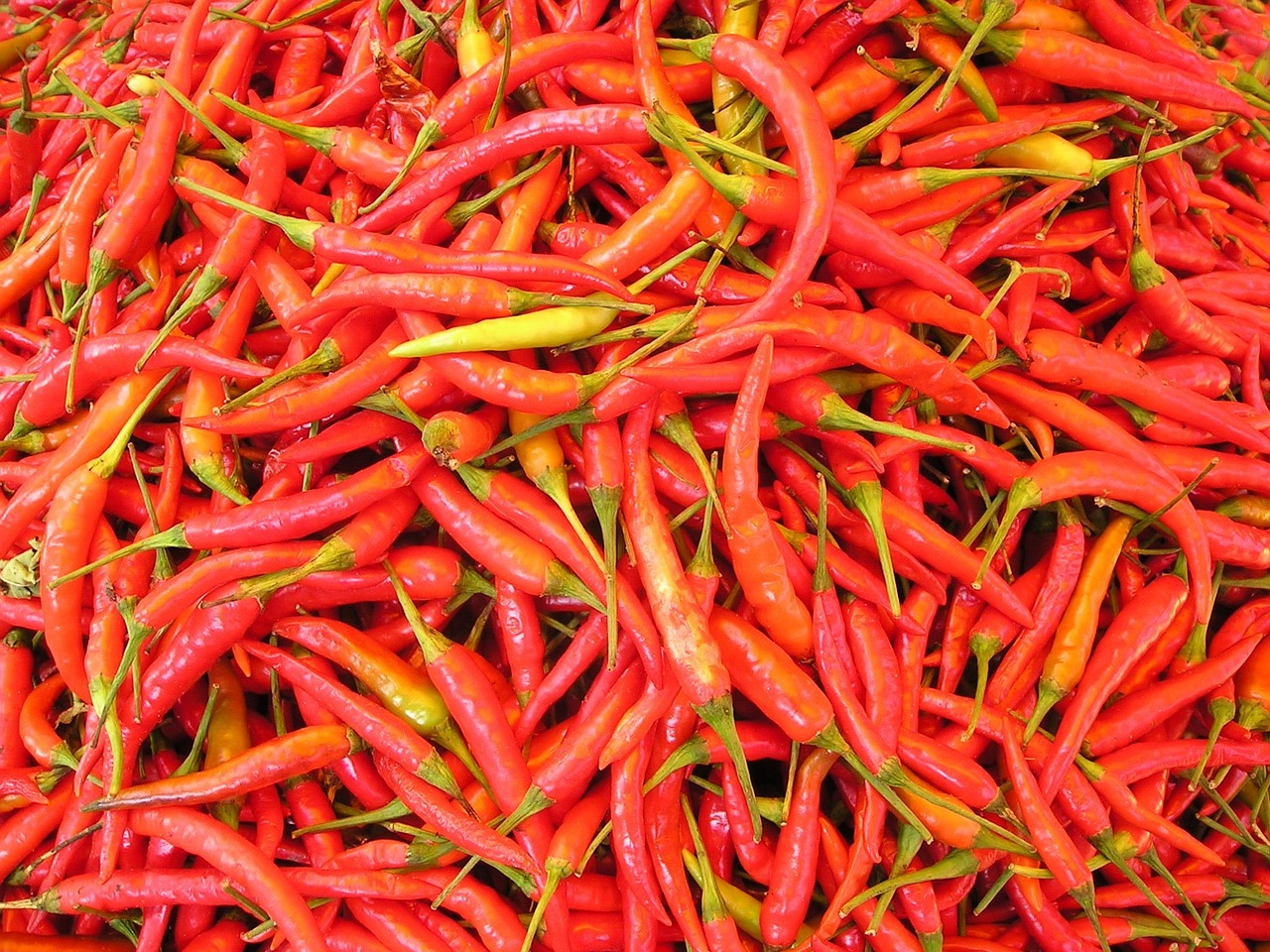 chillies