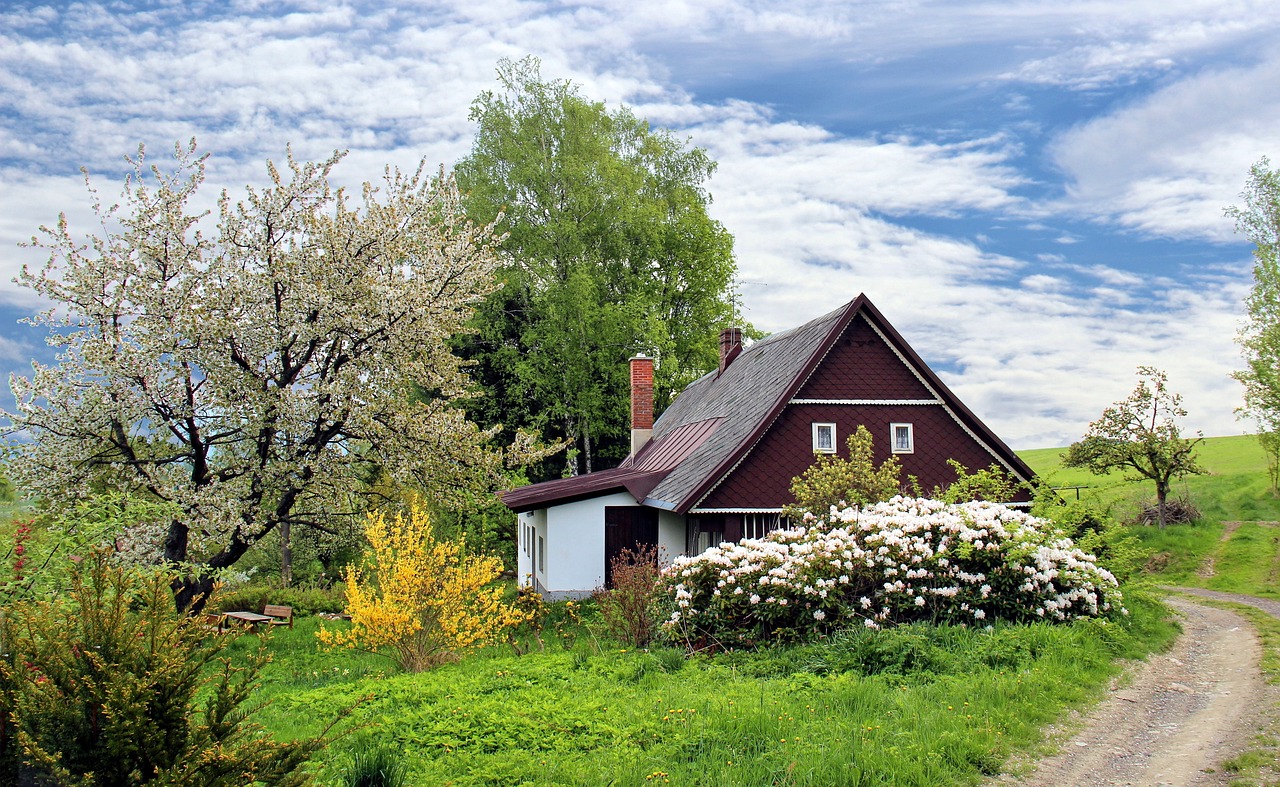 Cottage, Trees, Path image