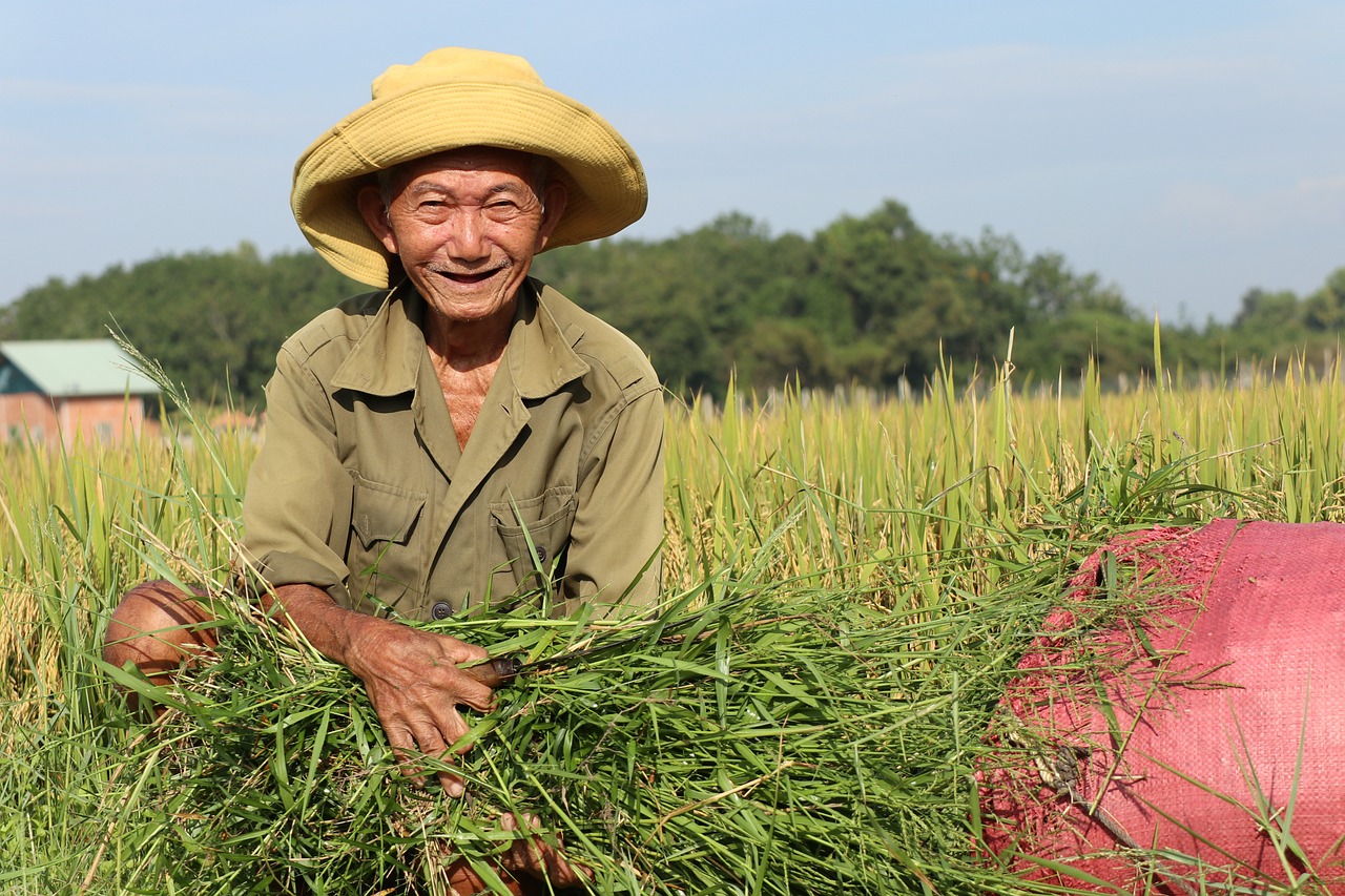 Farmer, Harvest, Man image