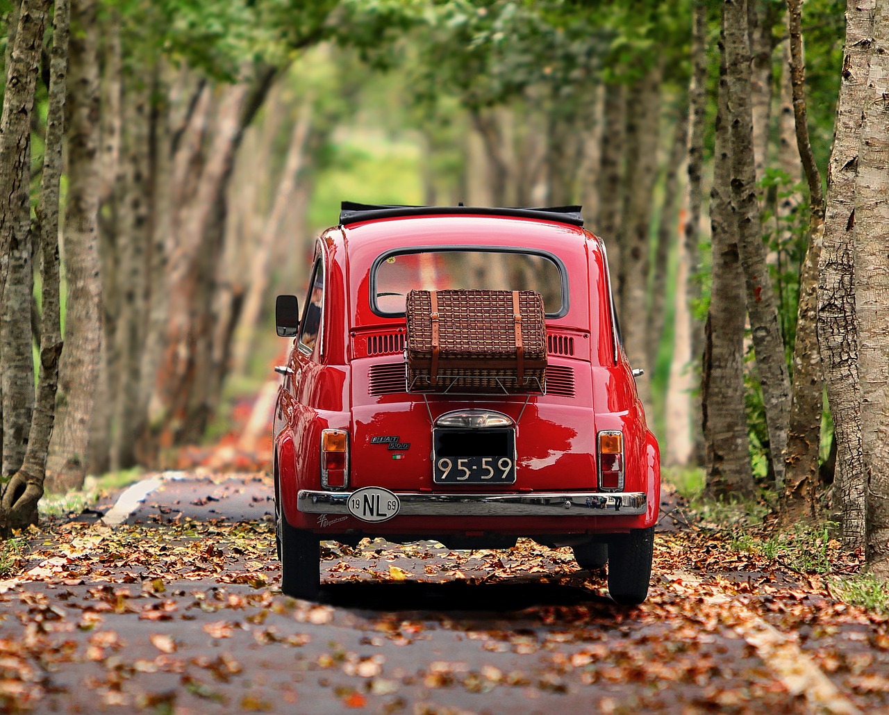 Fiat 500, Automobile, Trees image