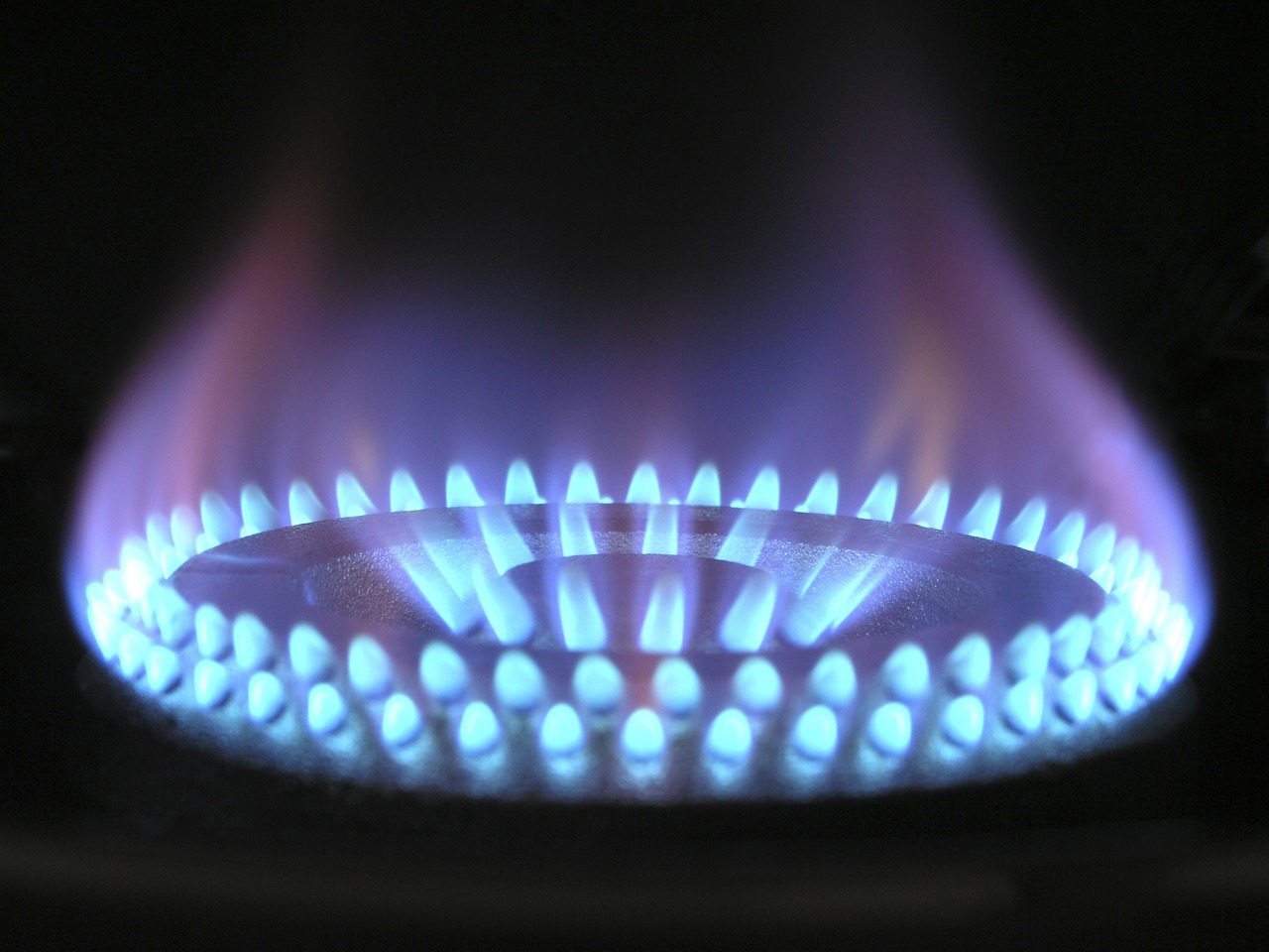 Flame, Gas, Gas flame image.