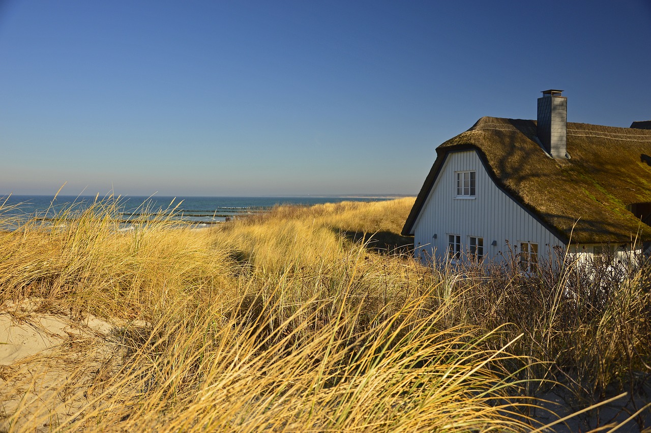 House, Thatched cottage, Dune image