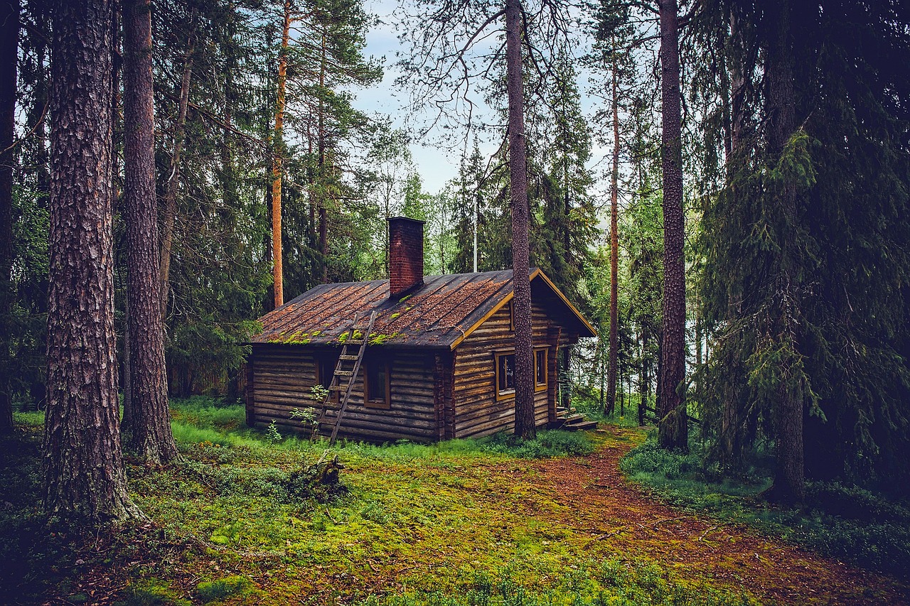 Log cabin, Cottage, House image