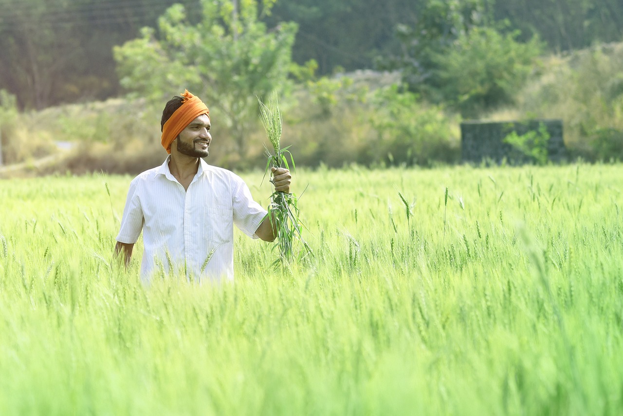 Indian farmer standing in a farm holding crops