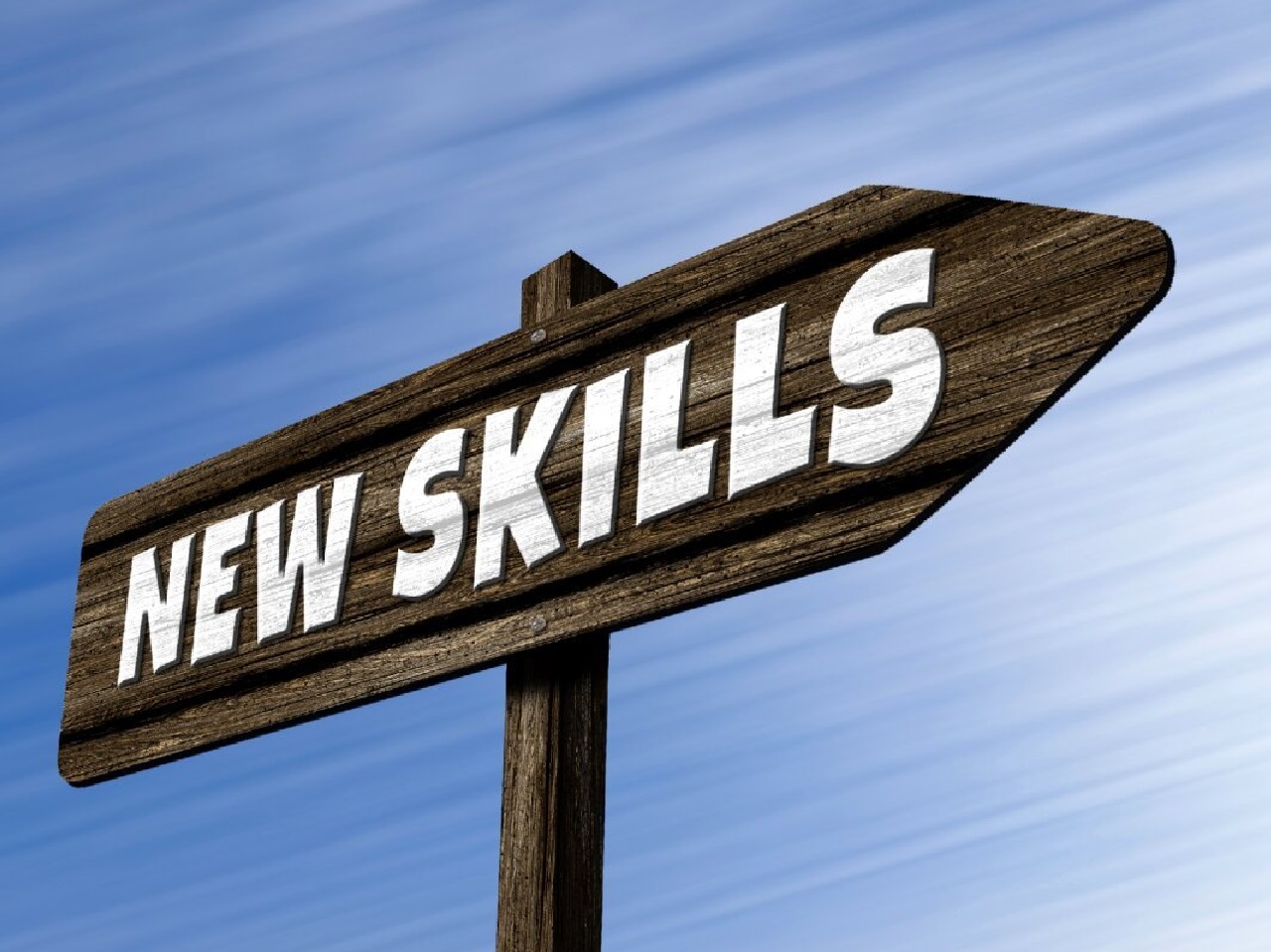 New Skills written on a Traffic sign pointing in one direction showing the path towards skill development