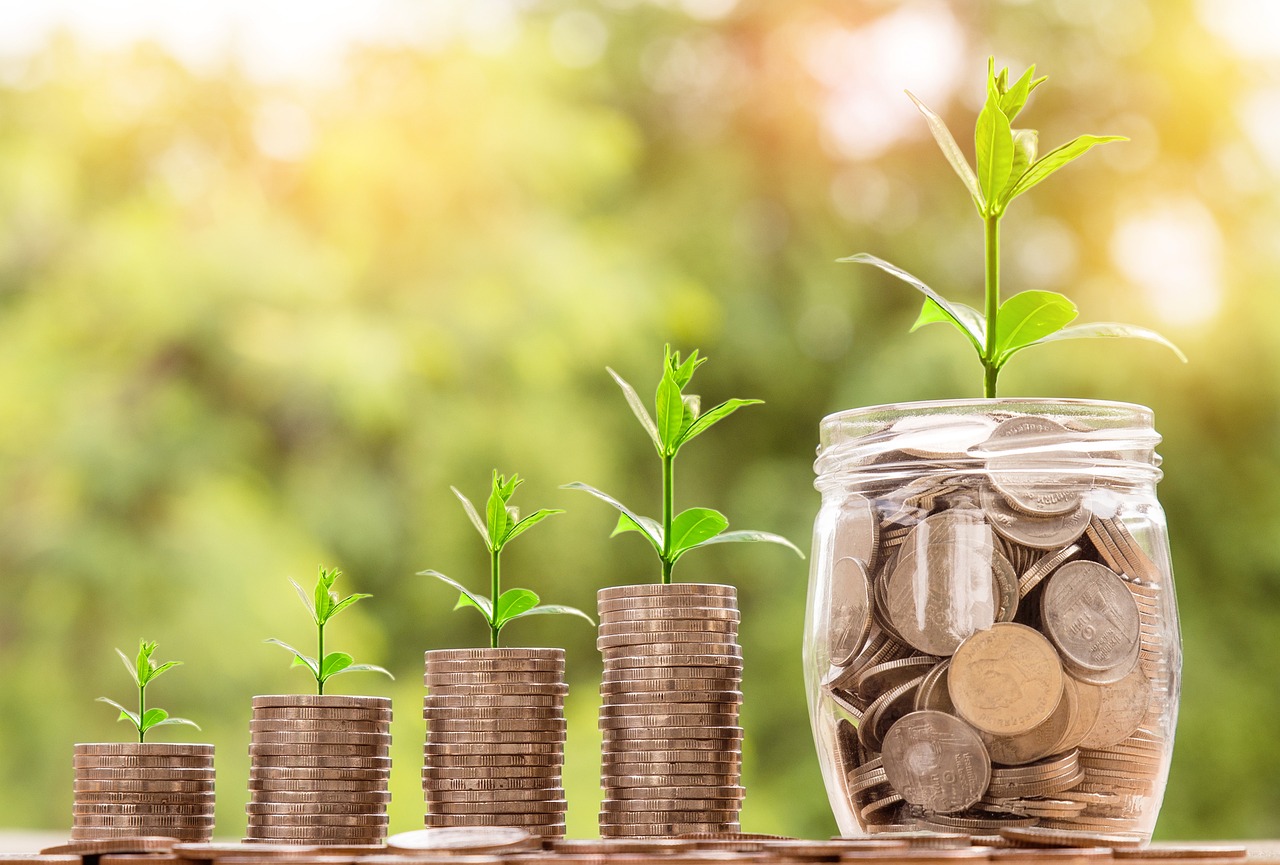 stacks of coins and a jar of coins with plant