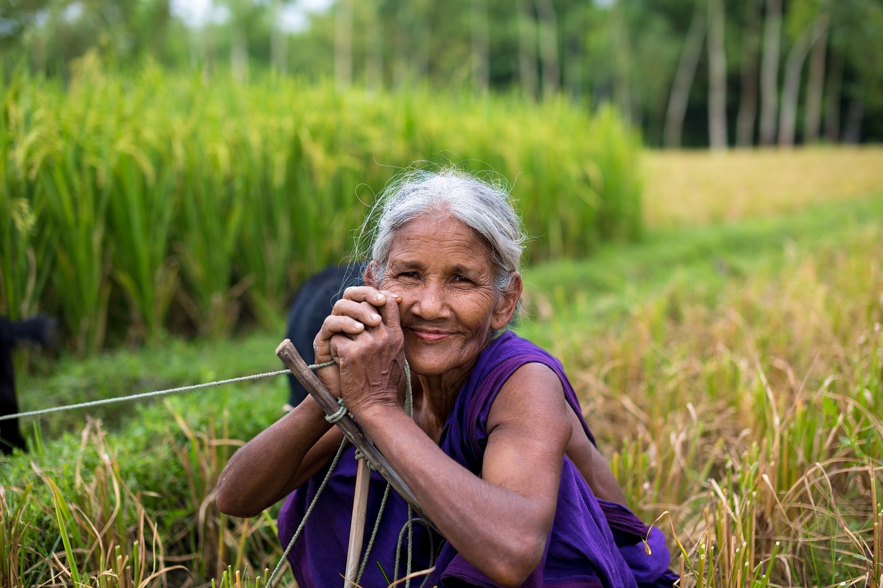Old woman, Smile, Paddy field image