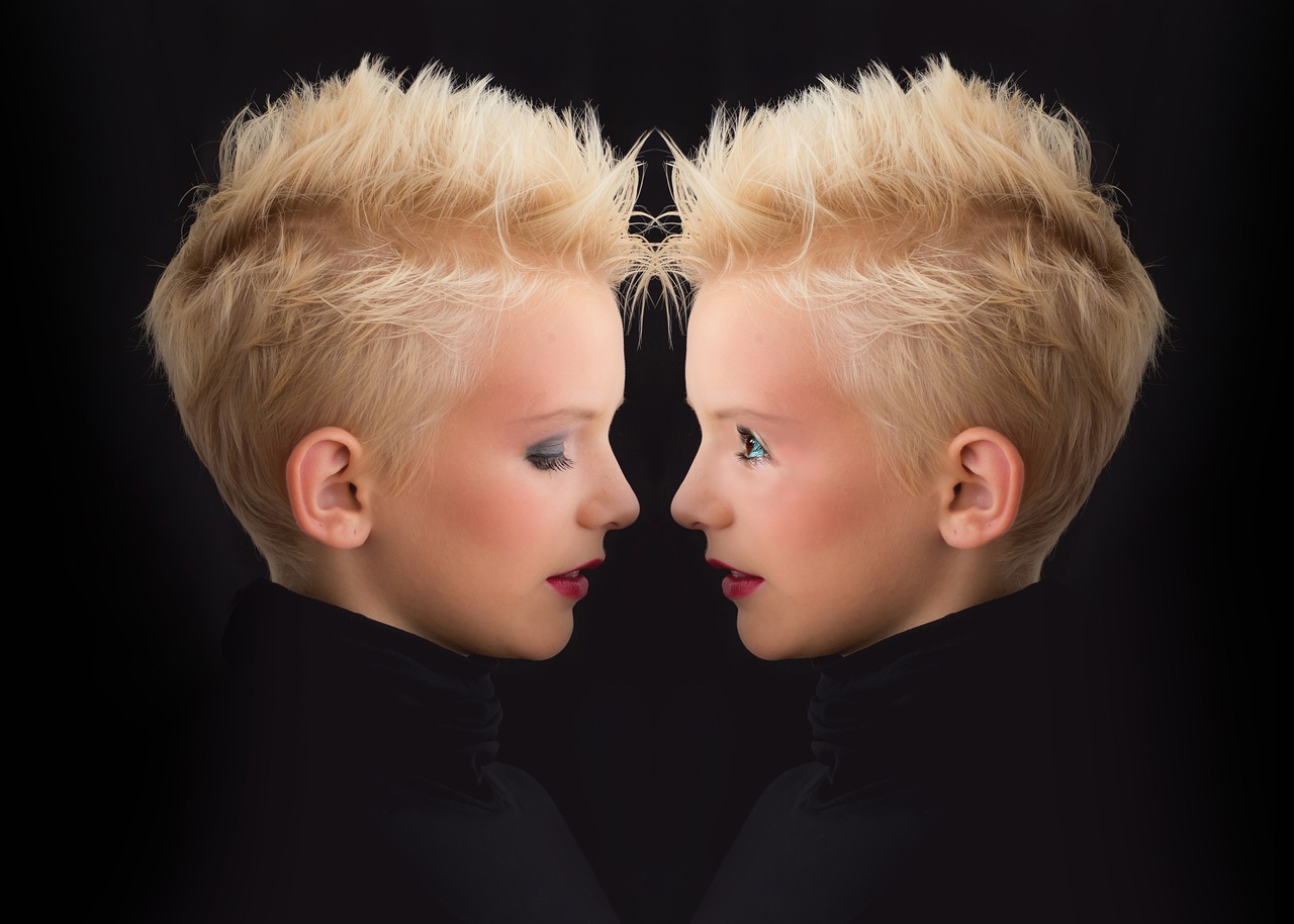 Twin, Siblings, Self-love image